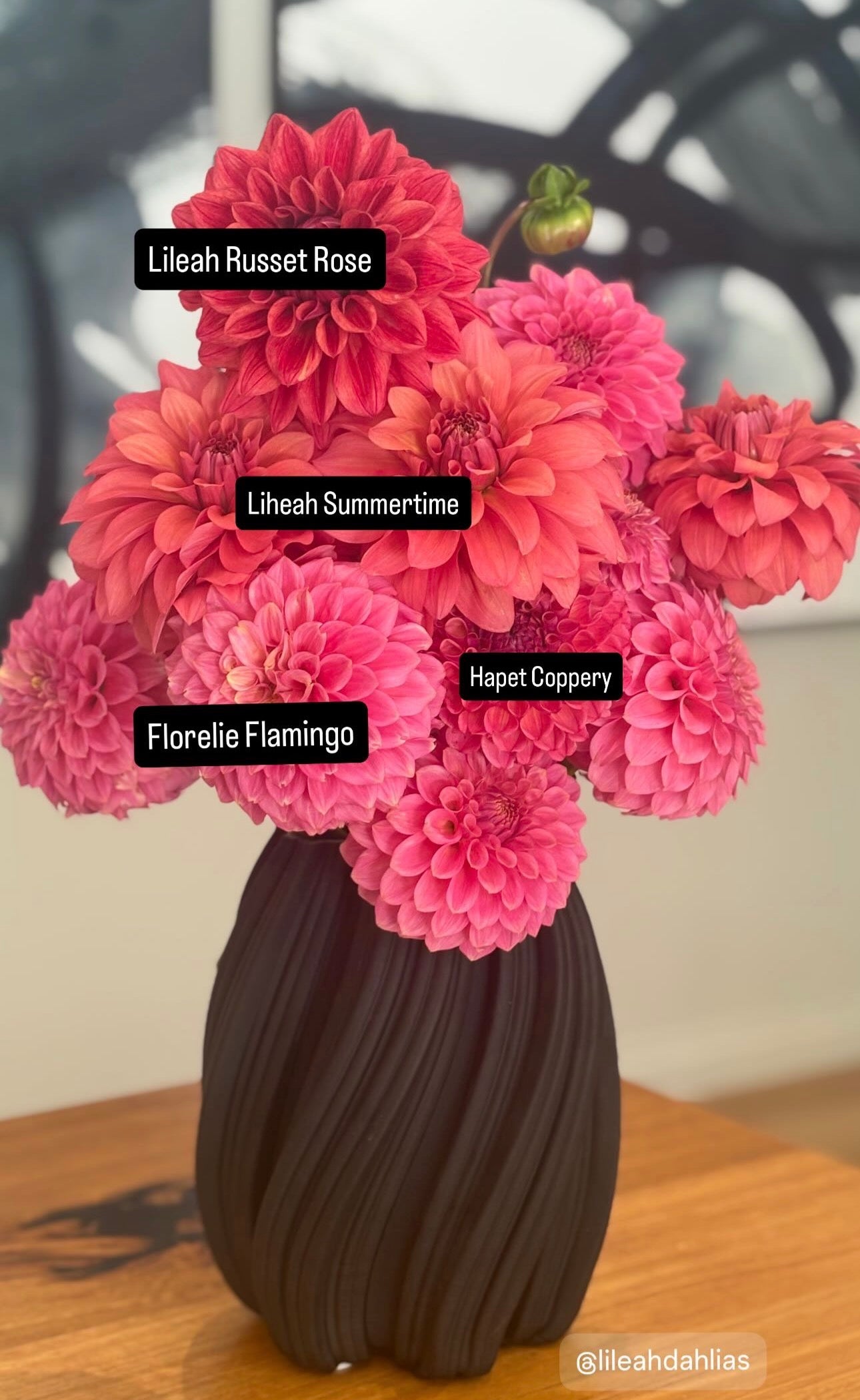 Florelie Flamingo